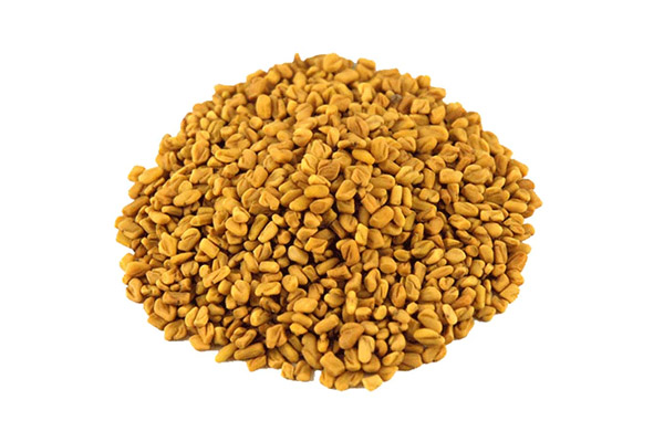 Fenugreek